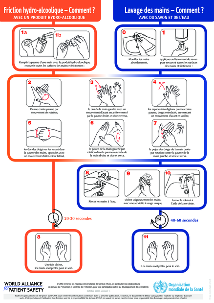 download how the snake lost its legs curious