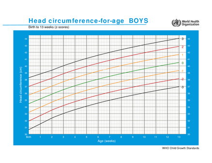 Pediatric Head Circumference Chart